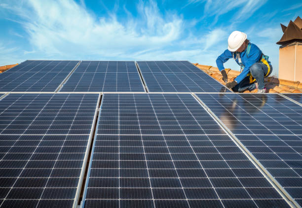 Best Roof Moss and Algae Removal  in Kitty Hawk, NC