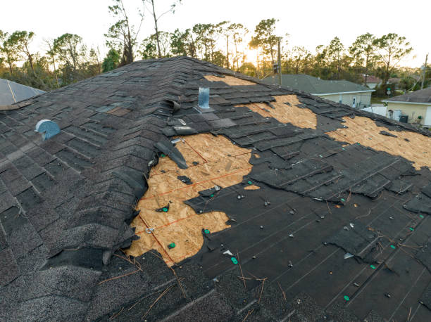Best Asphalt Shingle Roofing  in Kitty Hawk, NC