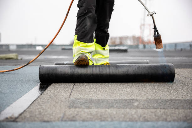 Best Skylight Installation and Repair  in Kitty Hawk, NC